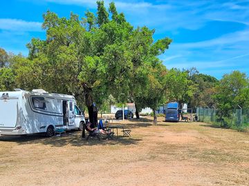 Pitch area under the shade of trees