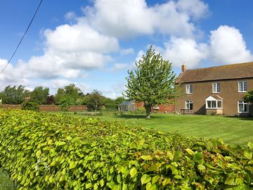 Daisy Farm