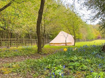 Yorrick bell tent