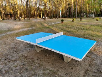 Tischtennis