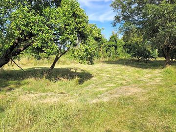 Grass pitch with sunny and shaded spots