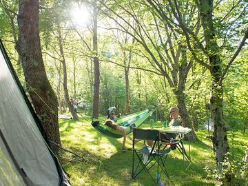Great place to take a nap