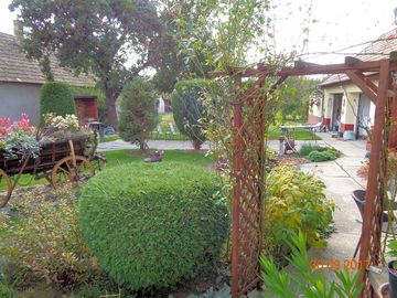 Looking at the garden from the lower terrace