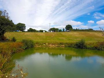 Lake view meadow