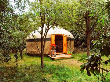 Your yurt
