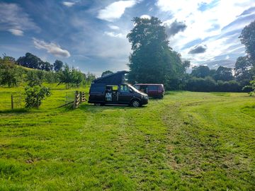 Pitch by the cider apple orchard
