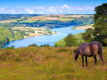 Explore the Exmoor National Park