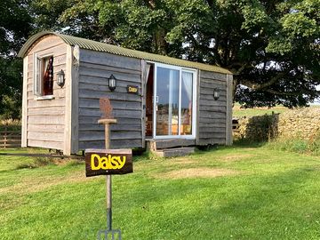 Shepherd's Hut - Daisy