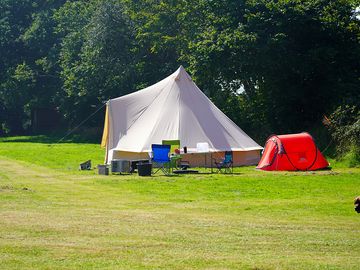 Field and tent