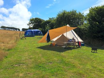 Top field gorgeous pitches