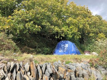 Dyfi pitch