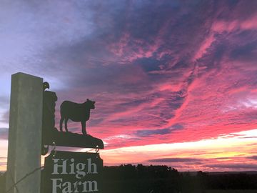 Fantastic sunsets and starry night skies