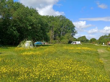 Grass pitches