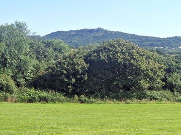 Grass pitch