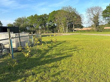Lovely allotment
