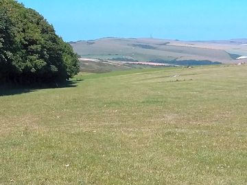 Rural views