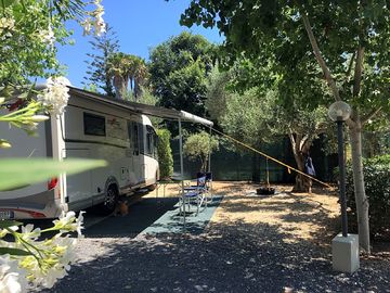 Pitches in shady and sunny spots