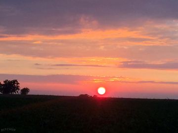 The stunning norfolk skies