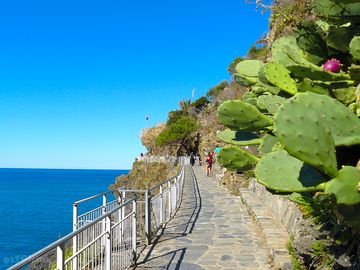 Cinque terre - via dell' amore
