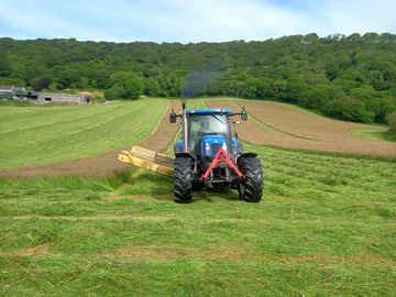 Part of a working farm