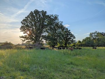 Surrounded by beautiful countryside.