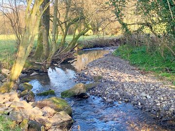 Stream