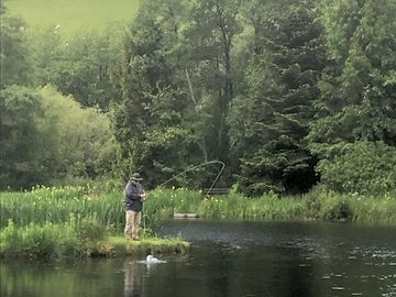 Fly fishing for trout