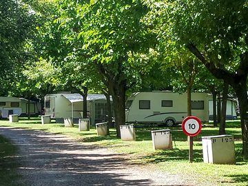 Spacious electric pitches shaded by trees