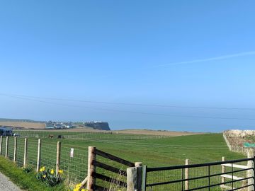 Views across the farm