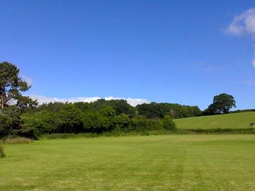Field