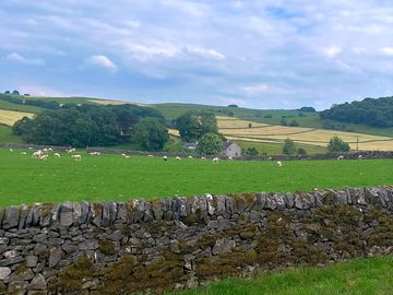 View from bell tent