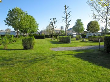 Camping pitches surrounded by trees