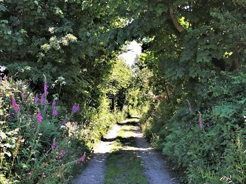 One of the many walks nearby