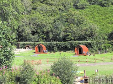 The pods