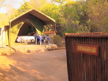 Safari tent