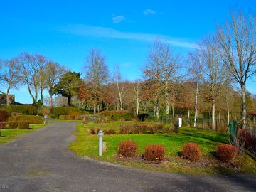 Neatly landscaped site