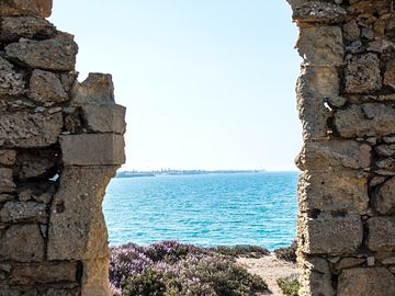 The sea