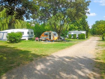 Grass pitches shaded by trees