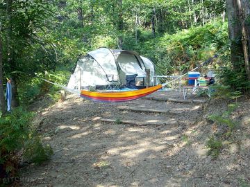 Pitches in the Corsican forest