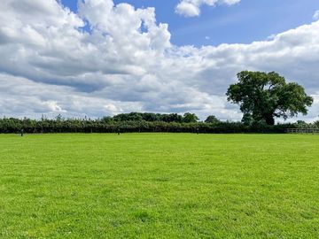 Fully serviced grass pitches