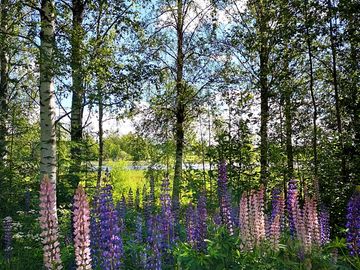 Lovely hiking and cycling trails directly from the site