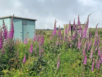 Loos and showers