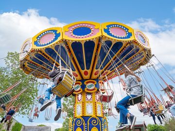 Adventure park rides