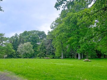 Grass area with picnic benches