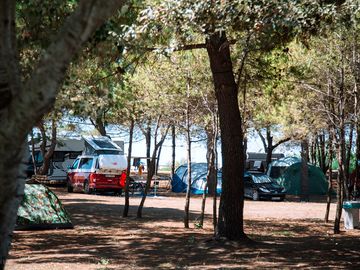 Hardstanding pitches