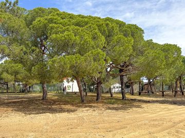 Camping pitches