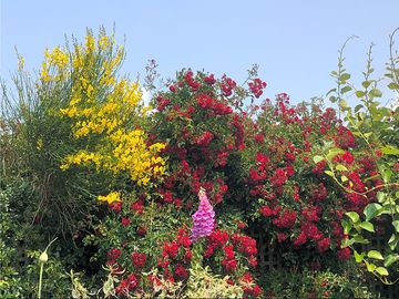Amazing gardens open to all.