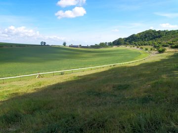 View from the woodlands