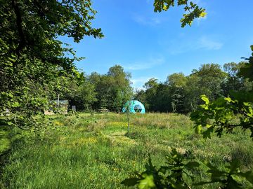 Orchard Geodome