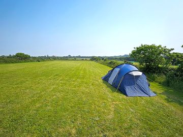 Tent Pitch